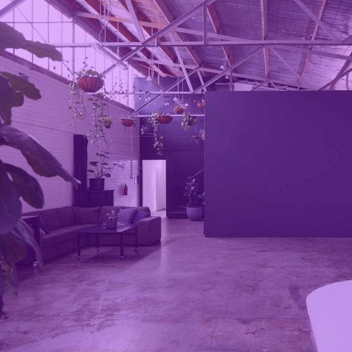 studio2-purple